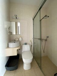 Toh Estate (D17), Semi-Detached #498484111